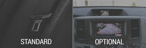Standard_and_Optional