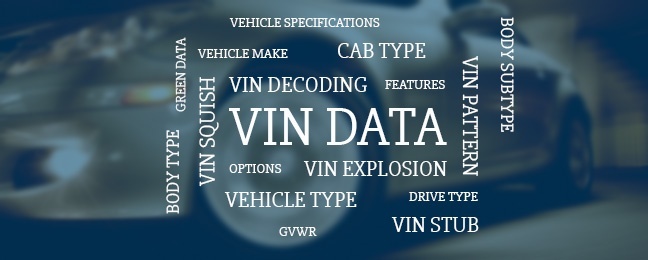 VIN-Data-Terms.jpg